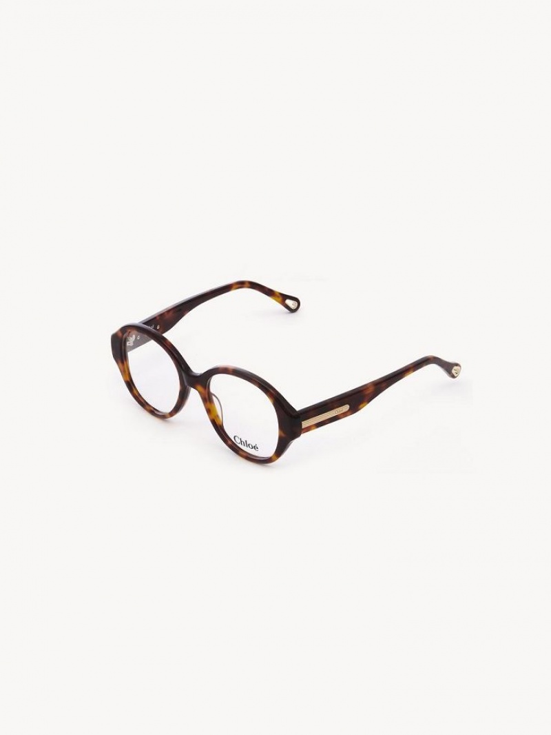 Eyeglasses Chloe Mirtha Havana | CHE-SR14583