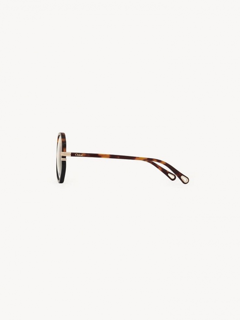 Eyeglasses Chloe West Havana | CHE-SR14584