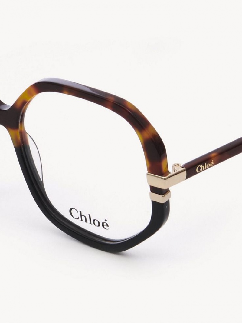 Eyeglasses Chloe West Havana | CHE-SR14584