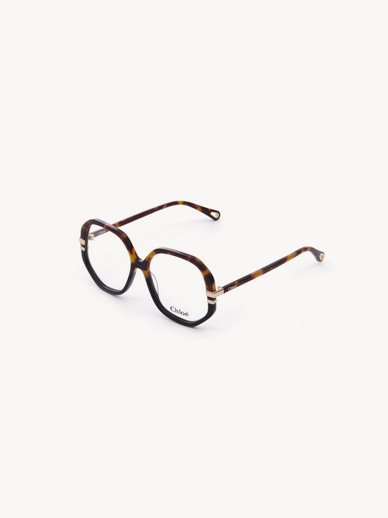 Eyeglasses Chloe West Havana | CHE-SR14584