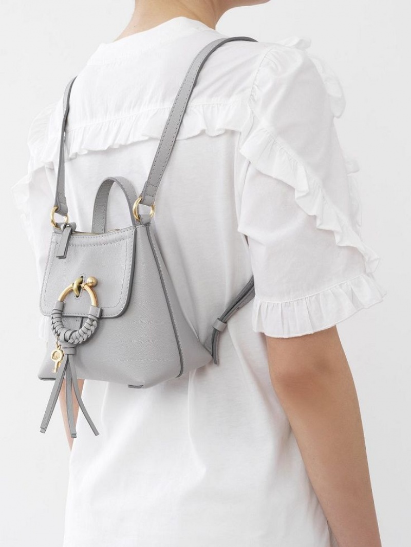 Mochilas Chloe Joan Cinzentas | CHE-SR14792