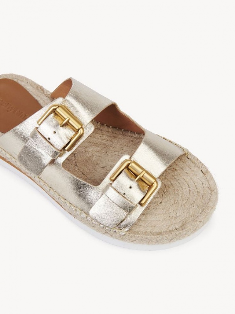 Sandálias Chloe Glyn Platform Espadrille Prateadas | CHE-SR14802