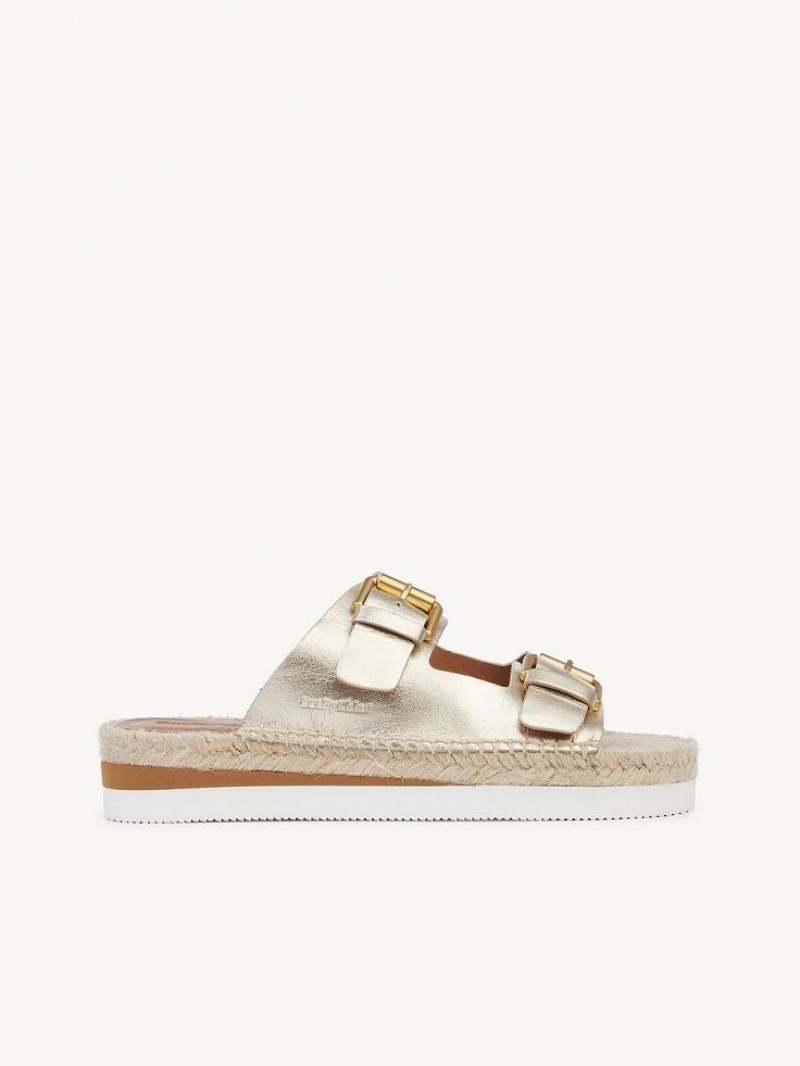 Sandálias Chloe Glyn Platform Espadrille Prateadas | CHE-SR14802