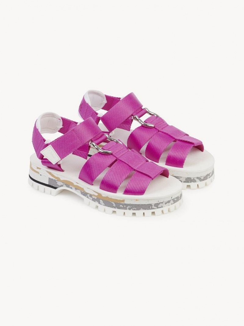 Sandálias Chloe Nikie Active Flat Rosa | CHE-SR14177