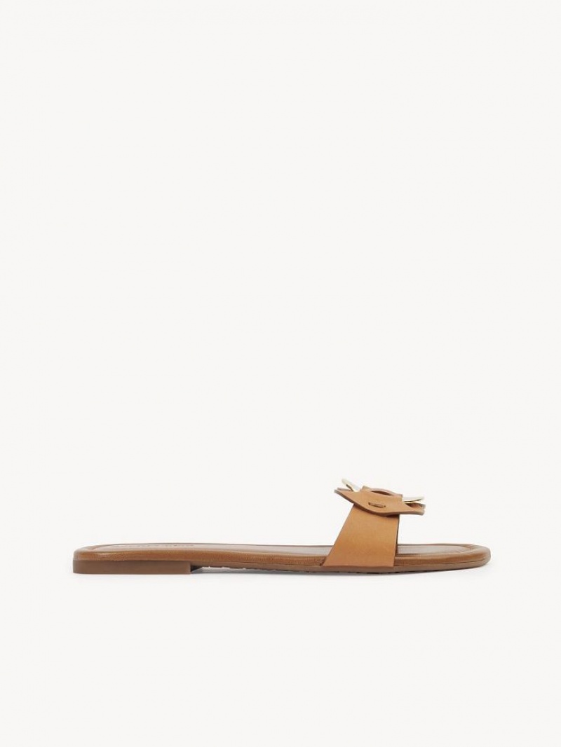 Sapatos Rasos Chloe Chany Mule Marrom | CHE-SR14837