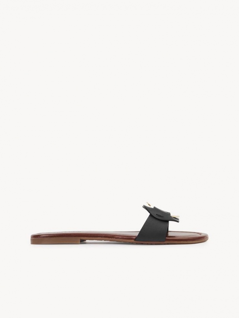 Sapatos Rasos Chloe Chany Mule Pretas | CHE-SR14838