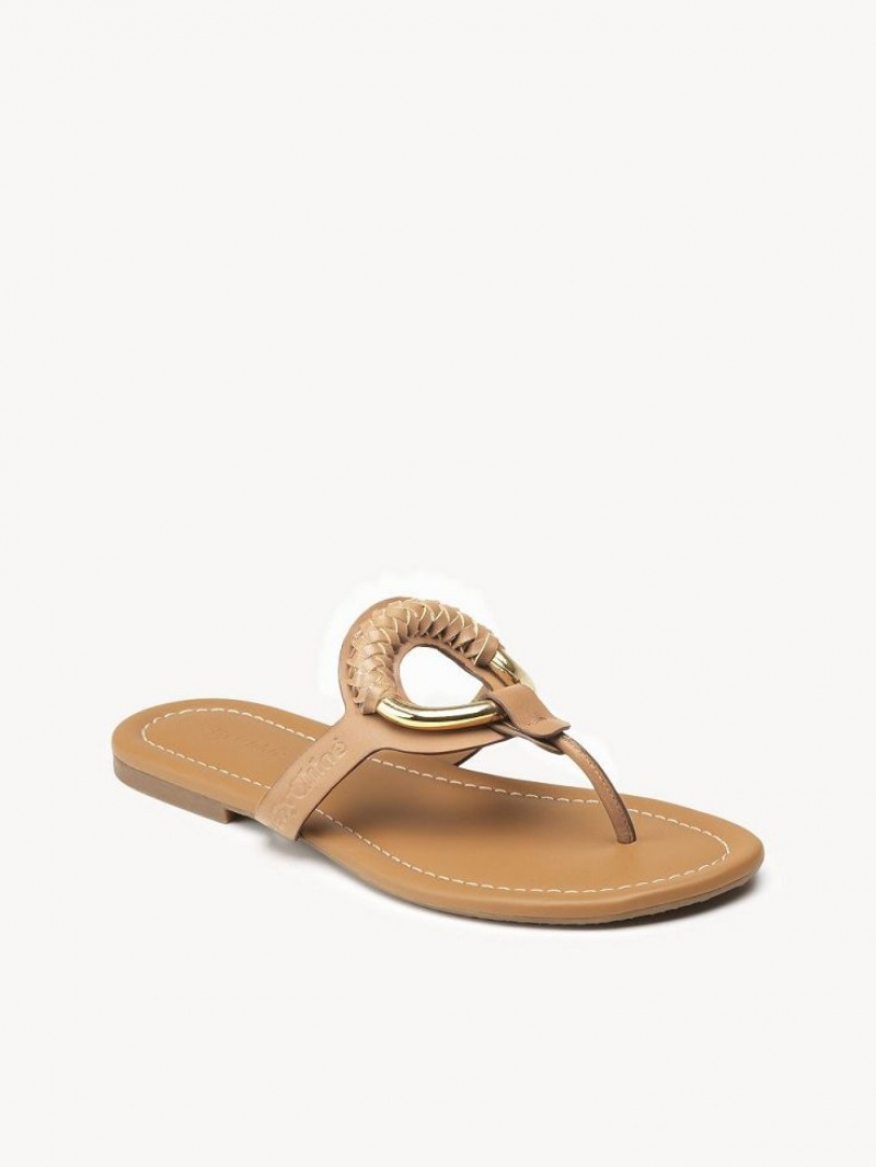 Sapatos Rasos Chloe Hana Flip-flop Marrom | CHE-SR14818