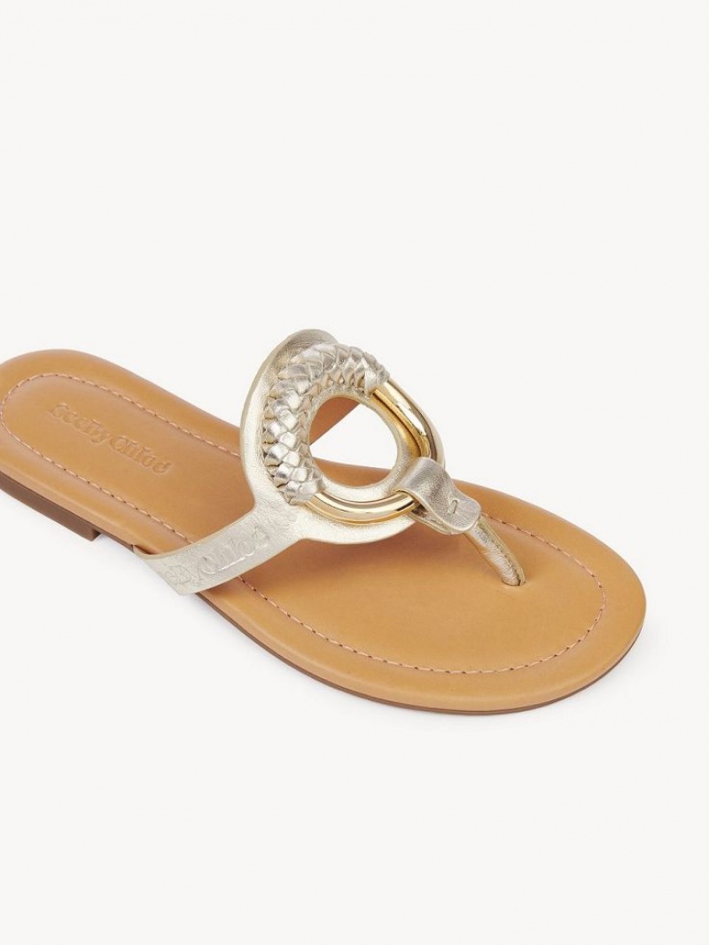 Sapatos Rasos Chloe Hana Flip-flop Prateadas | CHE-SR14829