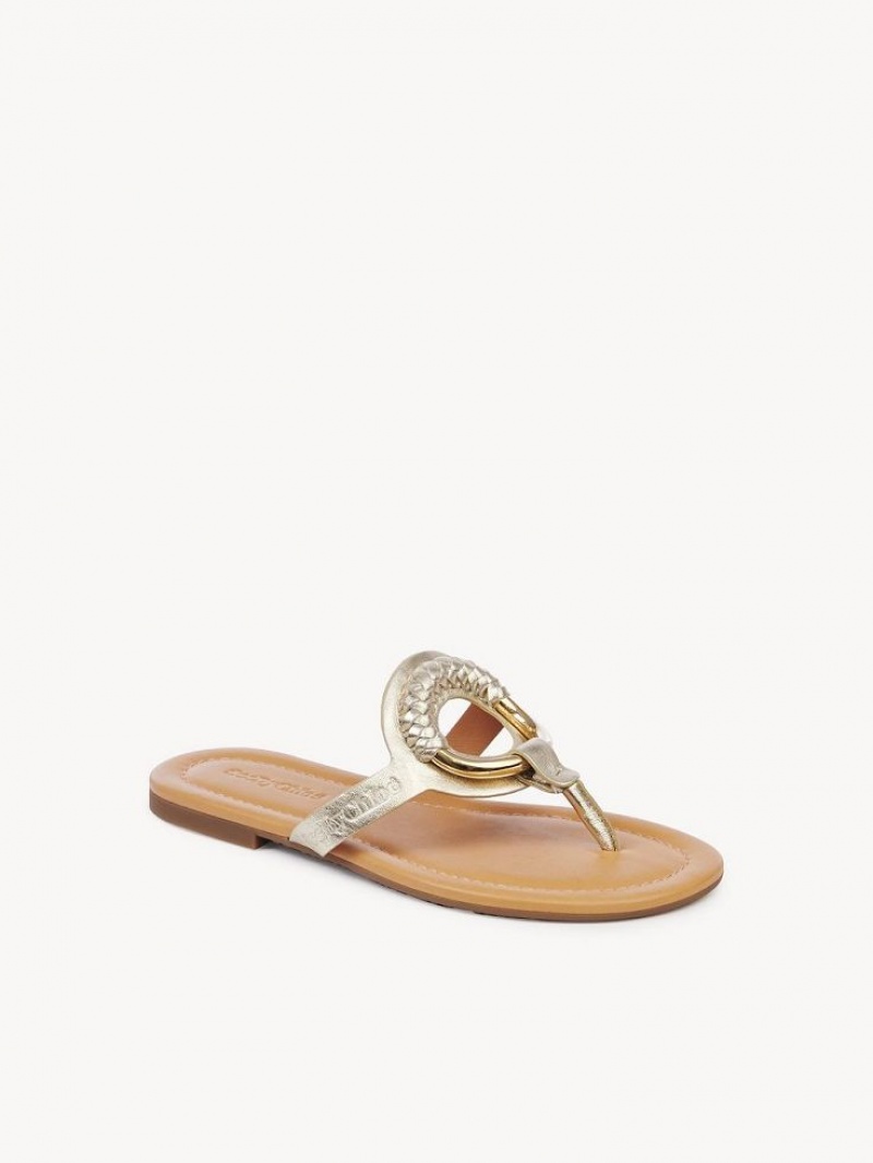 Sapatos Rasos Chloe Hana Flip-flop Prateadas | CHE-SR14829