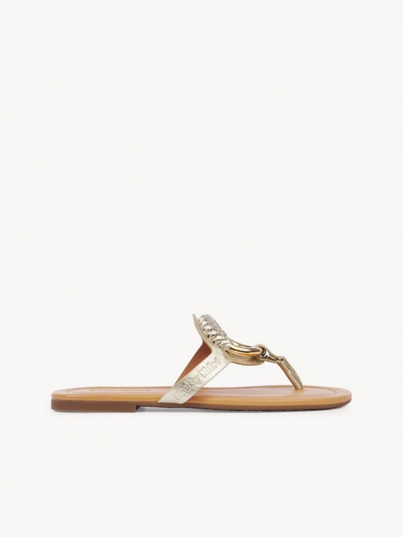 Sapatos Rasos Chloe Hana Flip-flop Prateadas | CHE-SR14829