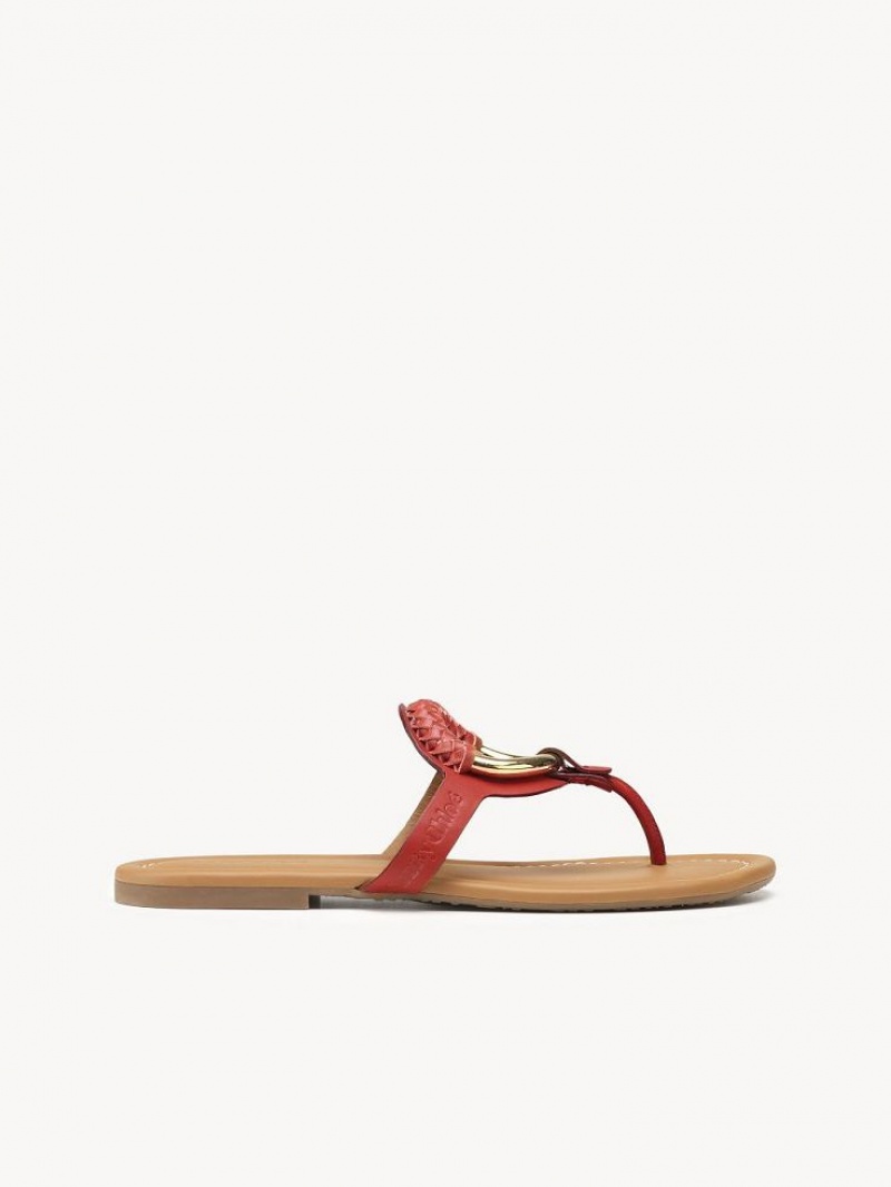 Sapatos Rasos Chloe Hana Flip-flop Vermelhas | CHE-SR14817